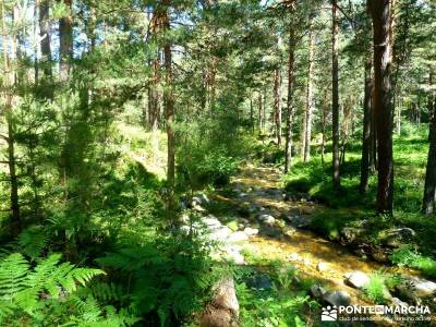 Pesquerías Reales - Monte de Valsaín; lagos de sanabria; camino smith;senderismo nivel alto